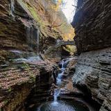 Watkins Glen State Park