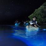 Bahía Bioluminiscente - Bio Bay