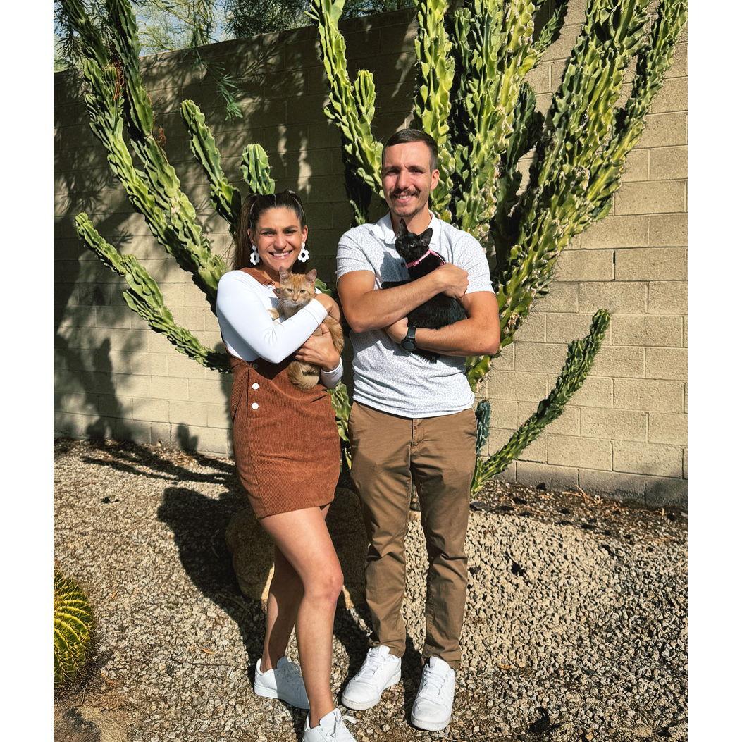 Our first family photo with Cheddar and Nugget.