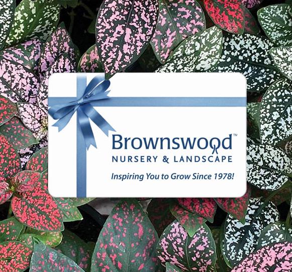Brownswood Nursery Gift Card