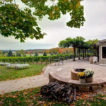 Bowers Harbor Vineyards