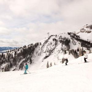Skiing & Snowboarding