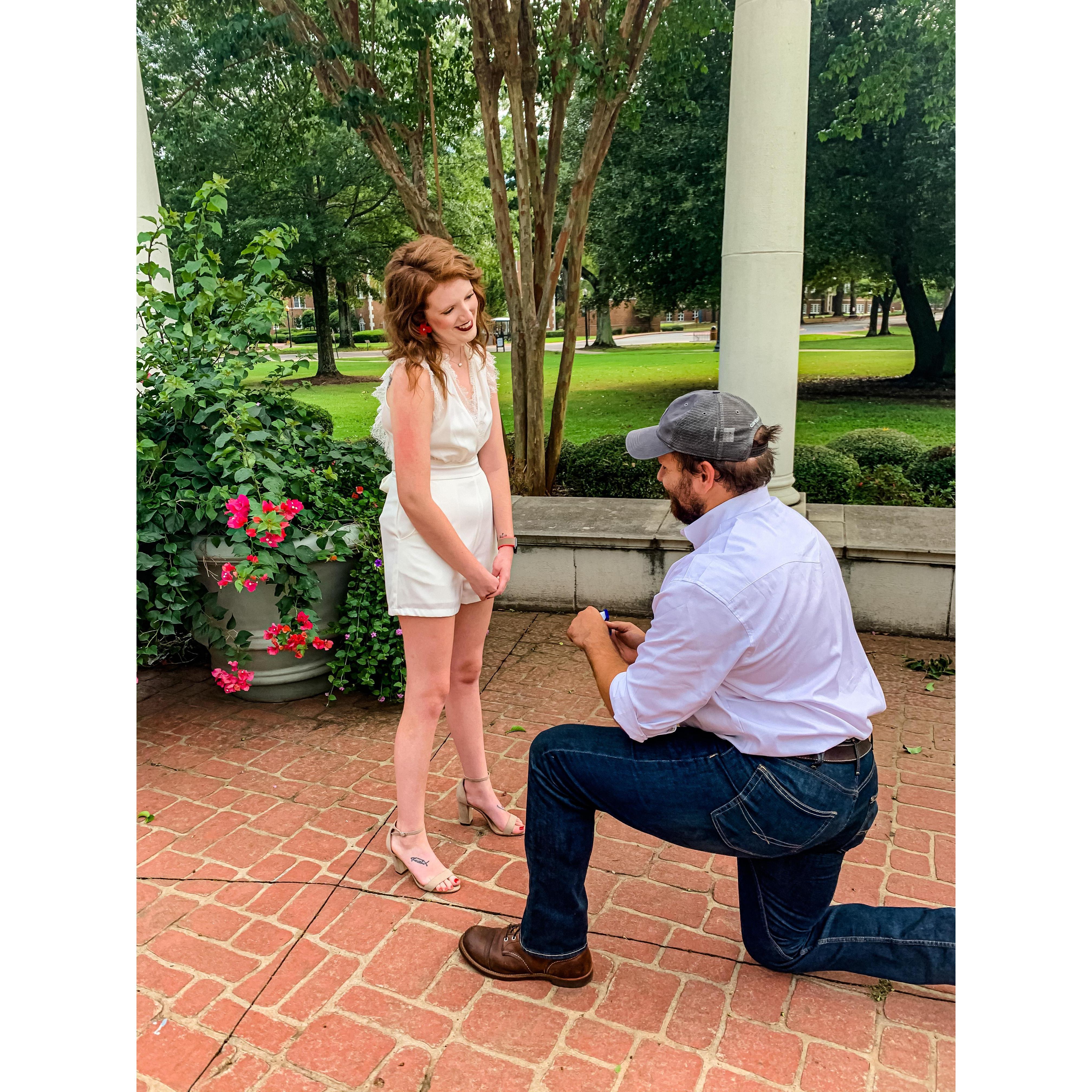 The Proposal