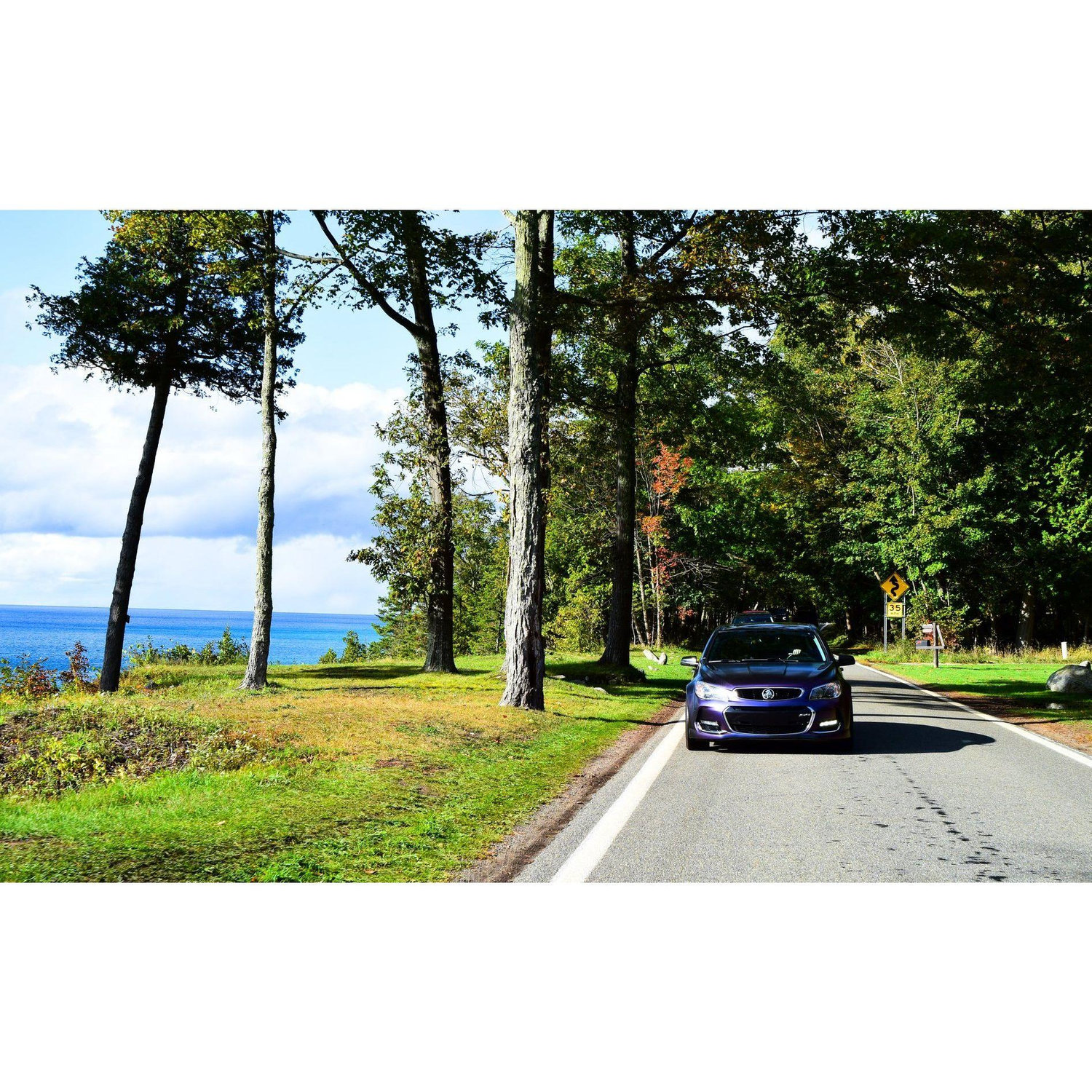 Burce and Caty Tunnel of Trees, Harbor Springs