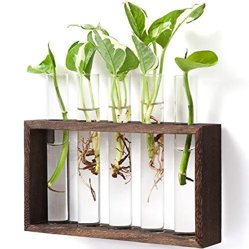 Mkono Wall Hanging Glass Planter Propagation Station Modern Flower Bud Vase in Vintage Wood Stand Rack with 5 Test Tube Tabletop Terrarium for Propagating Hydroponics Plants, Home Office Decoration