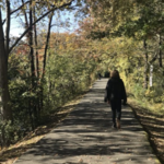 Canal Path