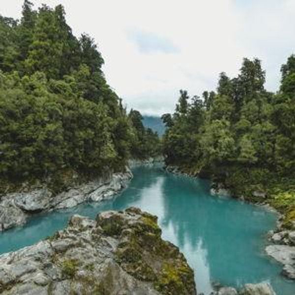 Honeymoon in New Zealand