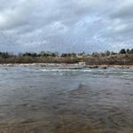 Belle Isle