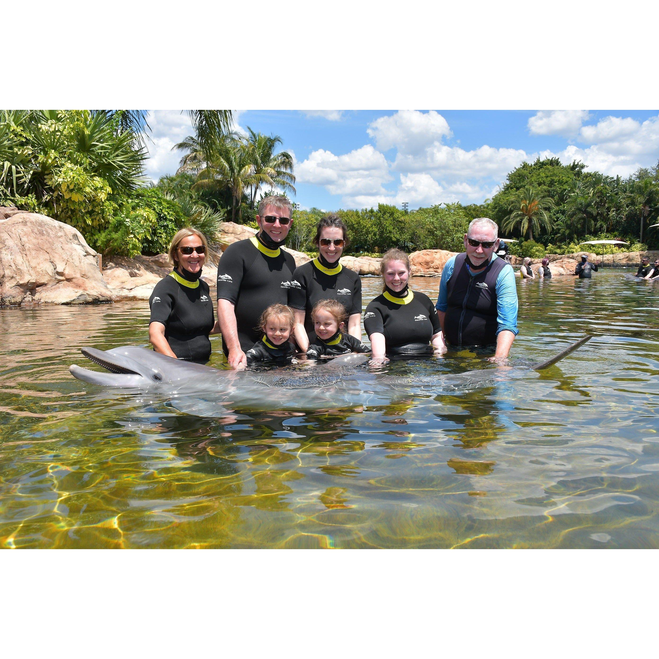 Swimming with Dolphins