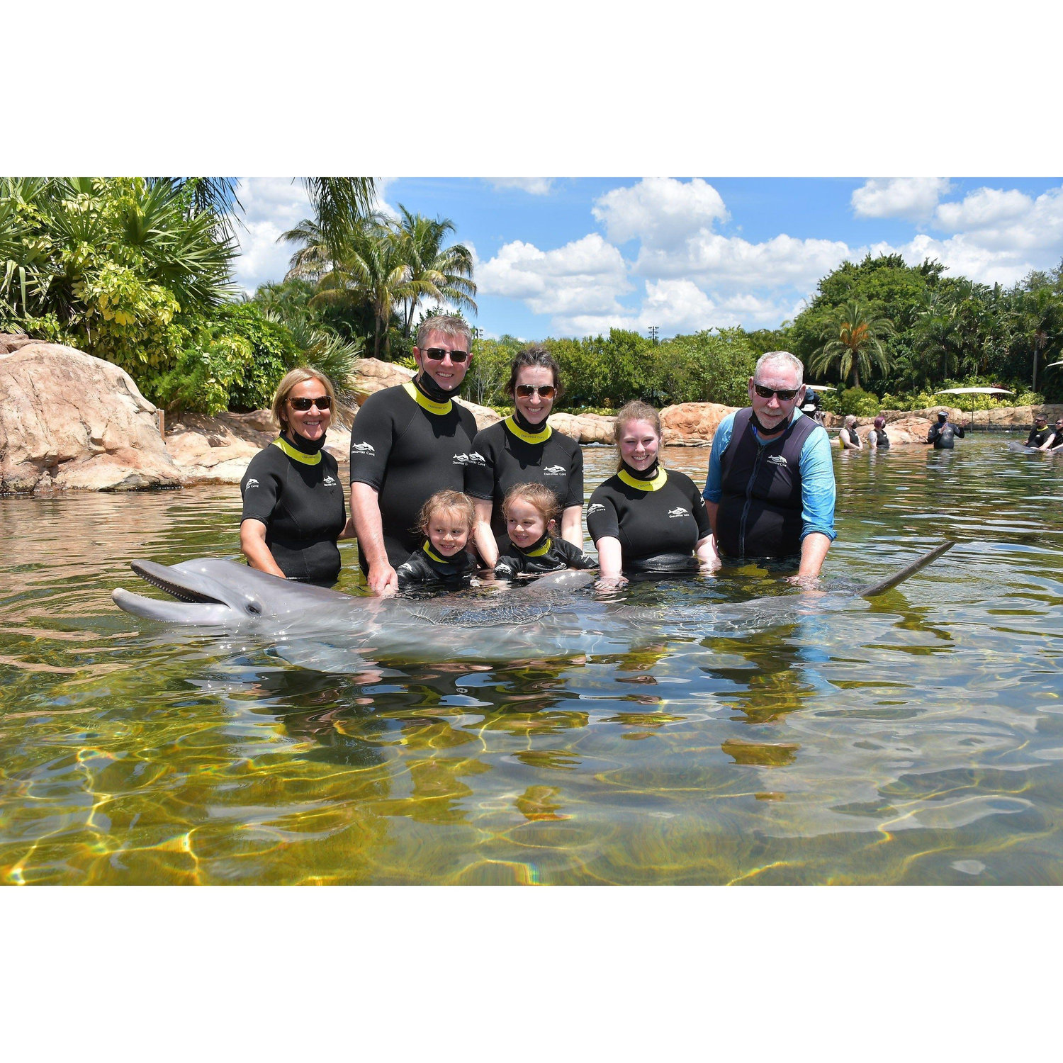 Swimming with Dolphins