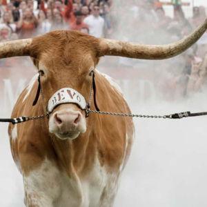 UT Football Tickets for two