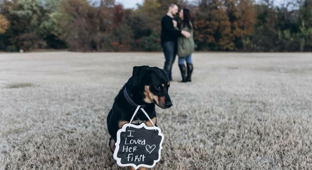 The Wedding Website of Amanda Beucler and Cameron Henricks
