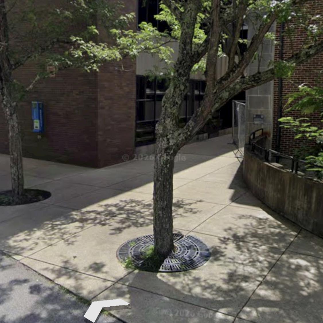 The windows behind the trees include a door toward the end. This is where you will enter the a library Tower. Get your picture taken, then follow the signs to the ceremony area.