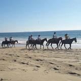 Horseback Riding in Ixtapa with Hotel Pickup