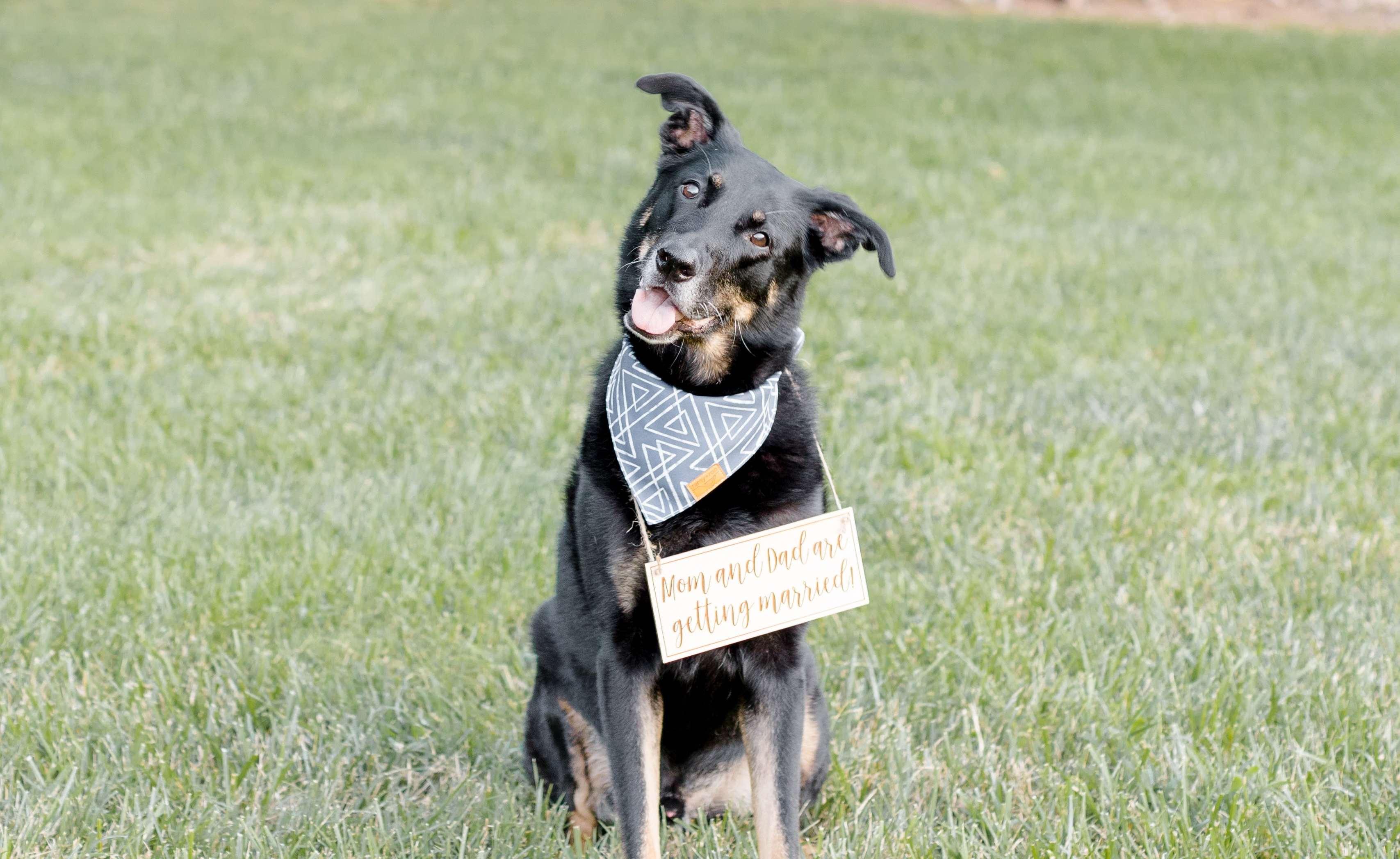 The Wedding Website of Kristy Alleva and Kyle Owen