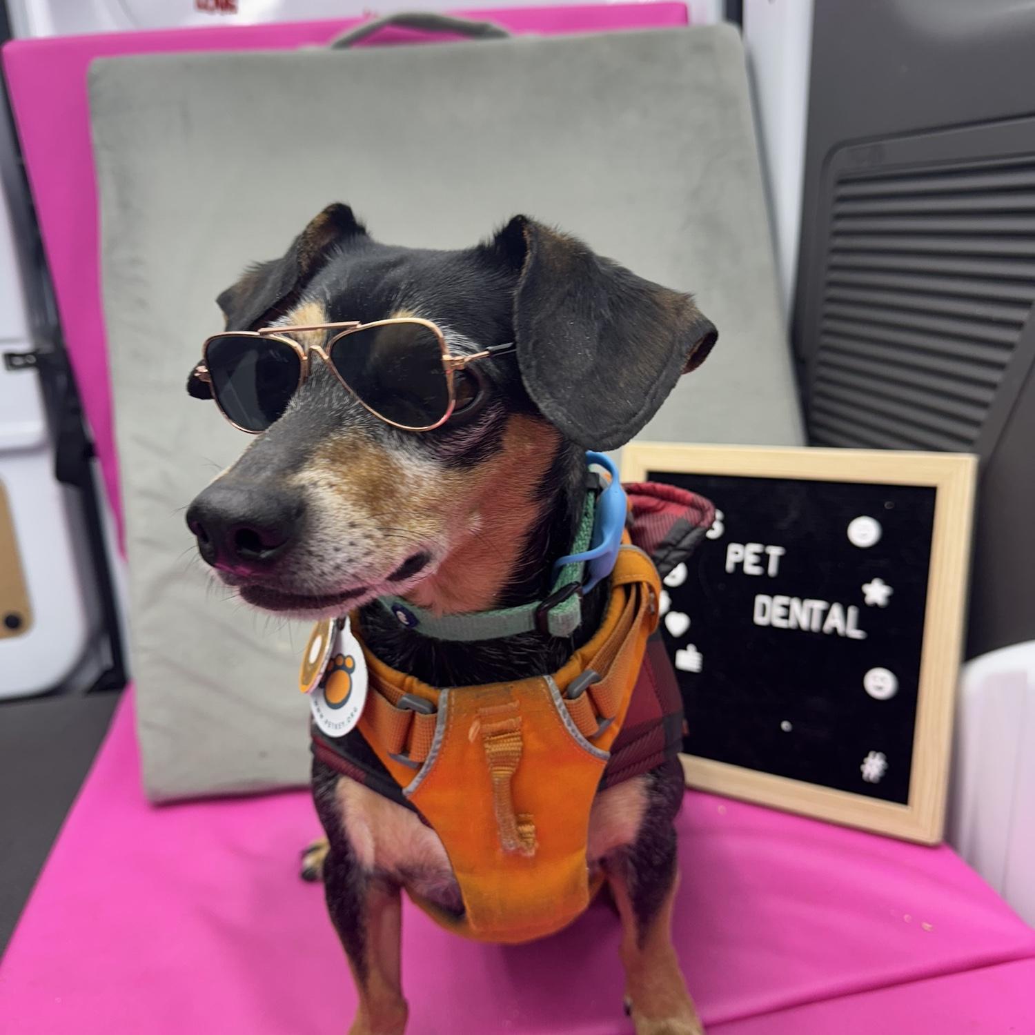 Donut is coolest dude on the block