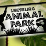 Leesburg Animal Park