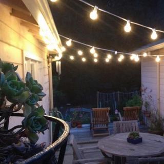 25' LED String Light with Clear Bulbs