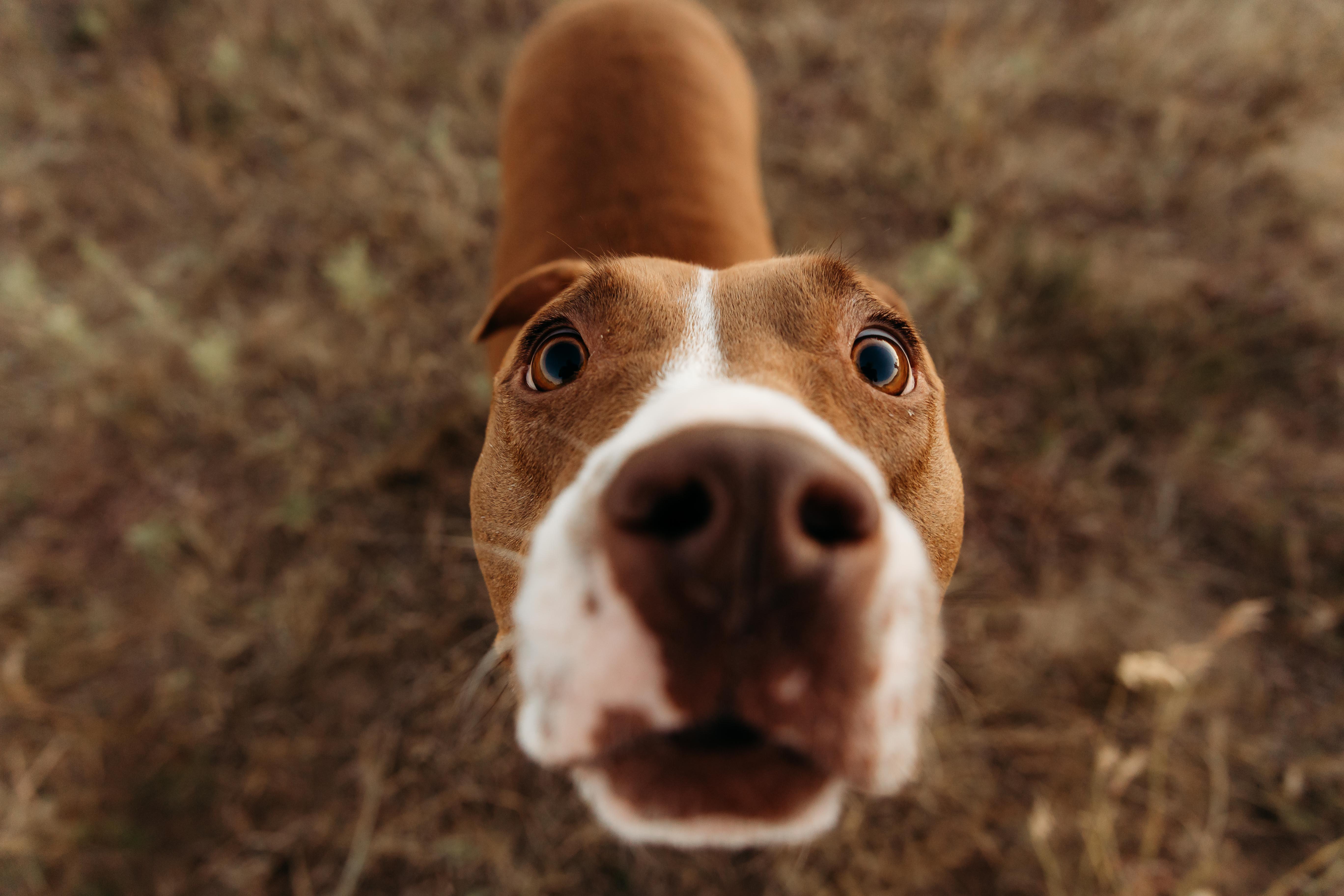 The Wedding Website of Hannah Filbey and Alexander Meschutt