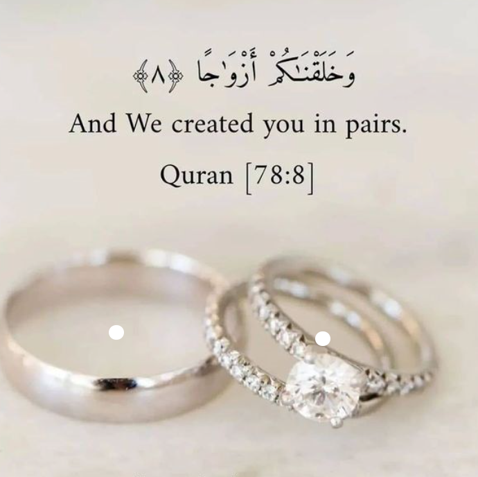The Wedding Website of Shaheen Rahim and Mohammad Abdulqader