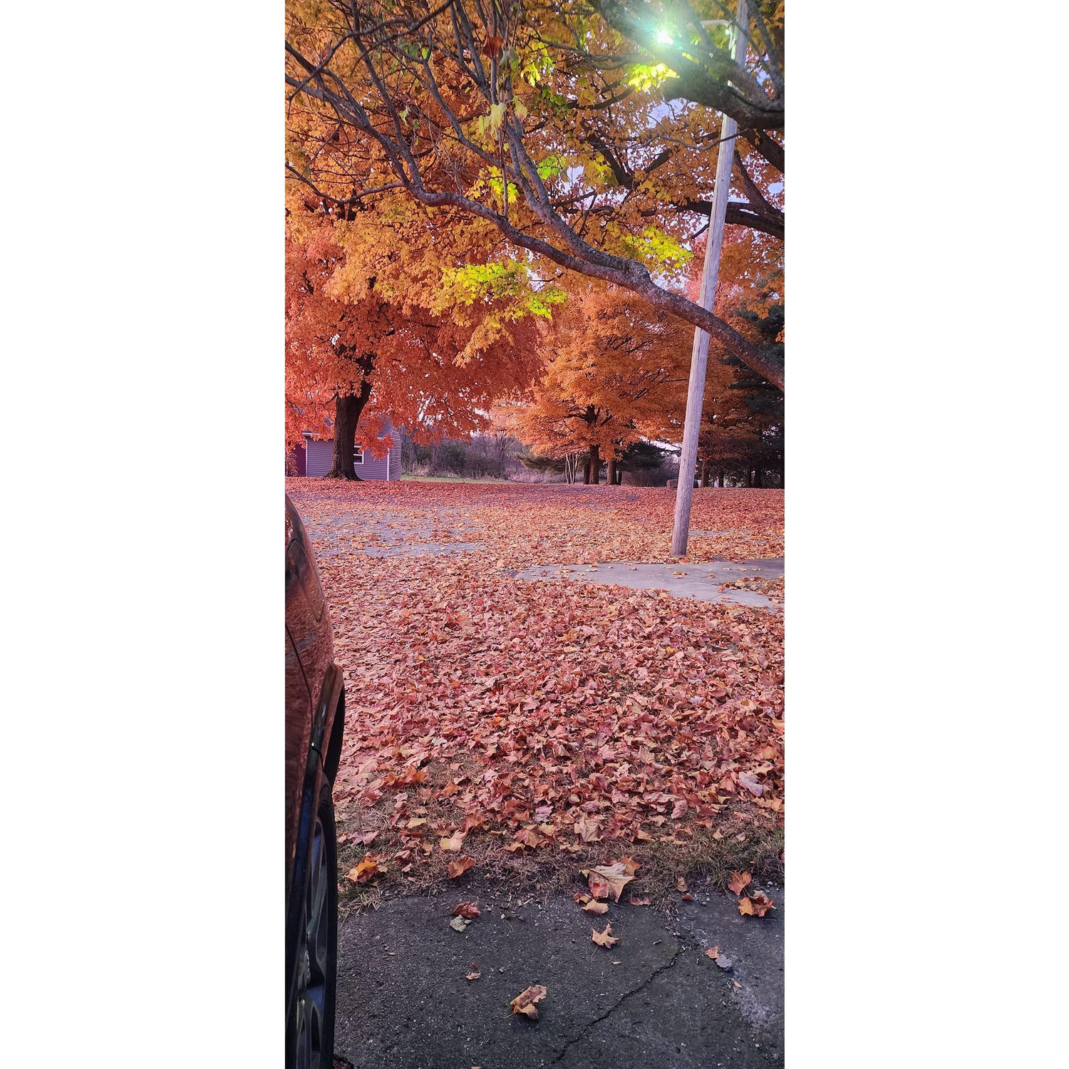 October at the farm.