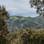 Carmel Valley
