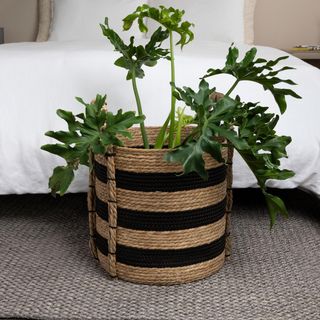 Braided Handle Basket
