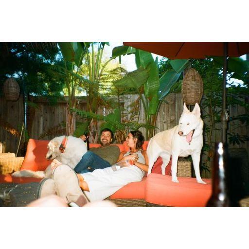 Nova and Olive and us