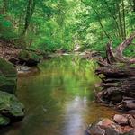 Nature Center At Shaker Lakes