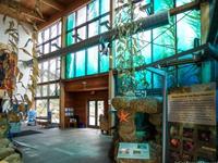 Ocean Institute