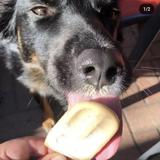 Get your popsicle fix at Pretty Cool Ice Cream