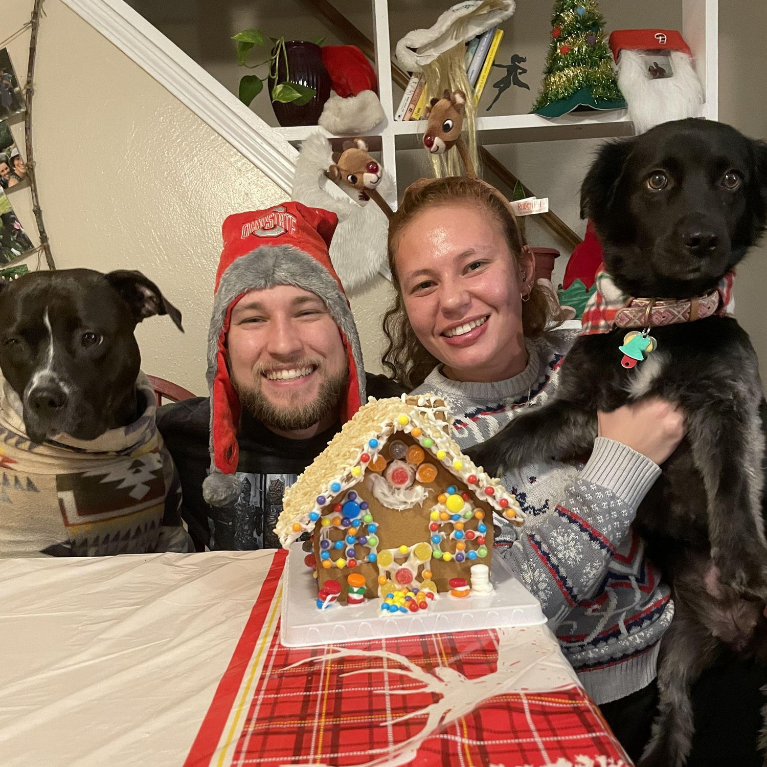 an ideal Christmas making gingerbread houses with the pups!