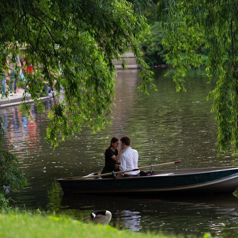 The Engagement