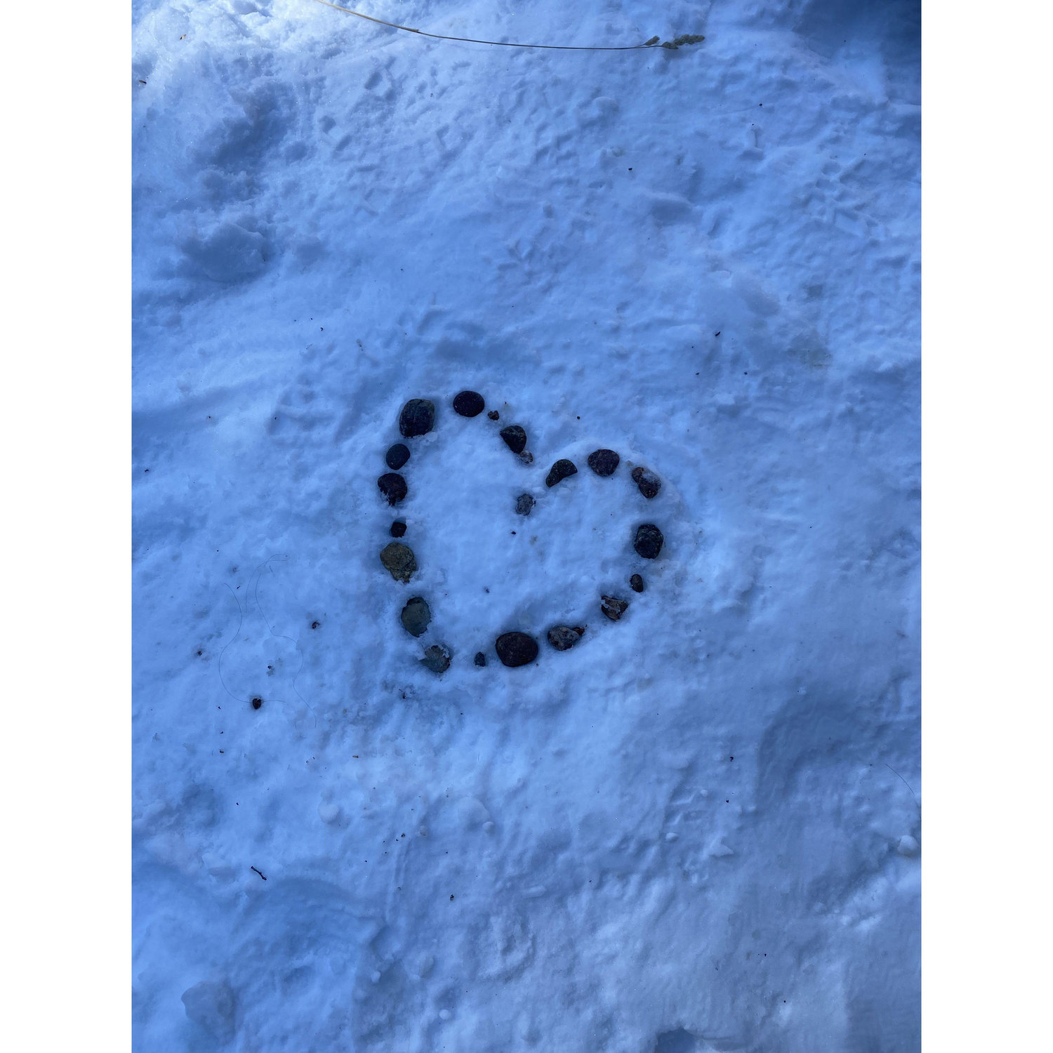 We saw this heart walking to the engagement spot. Neither of us put it there, but it is a funny coincidence it was on the way to our proposal!