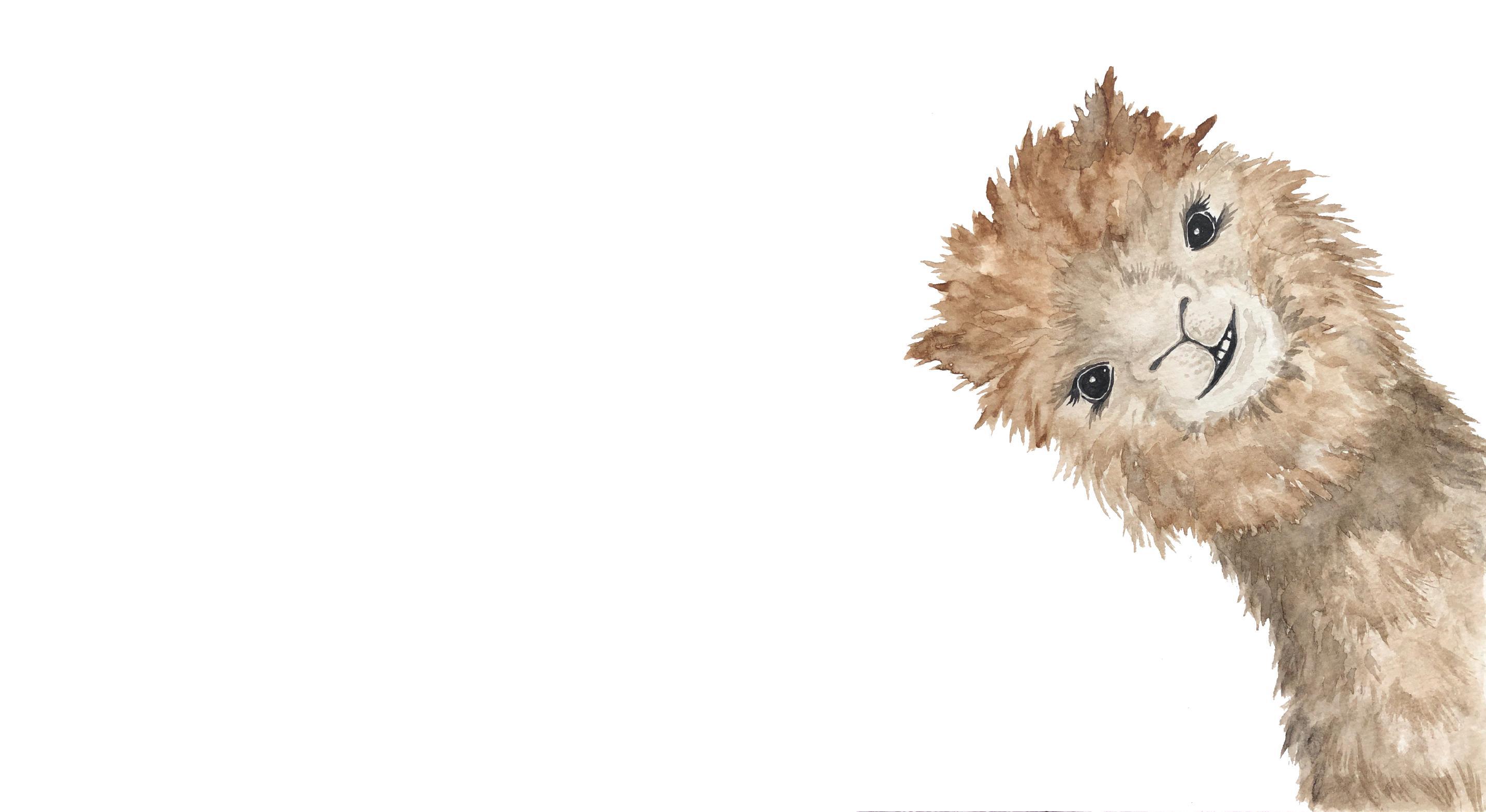 Footer image