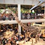 Houston Museum of Natural Science