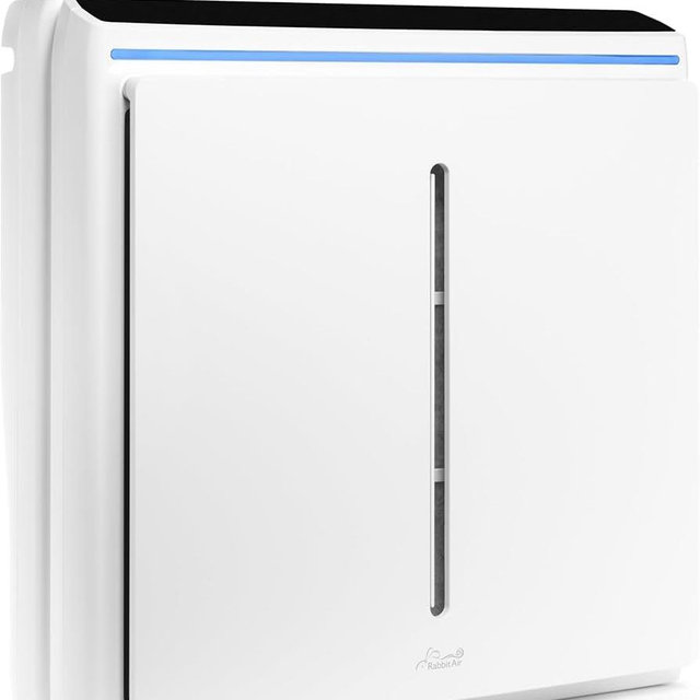 Rabbit Air Purifier