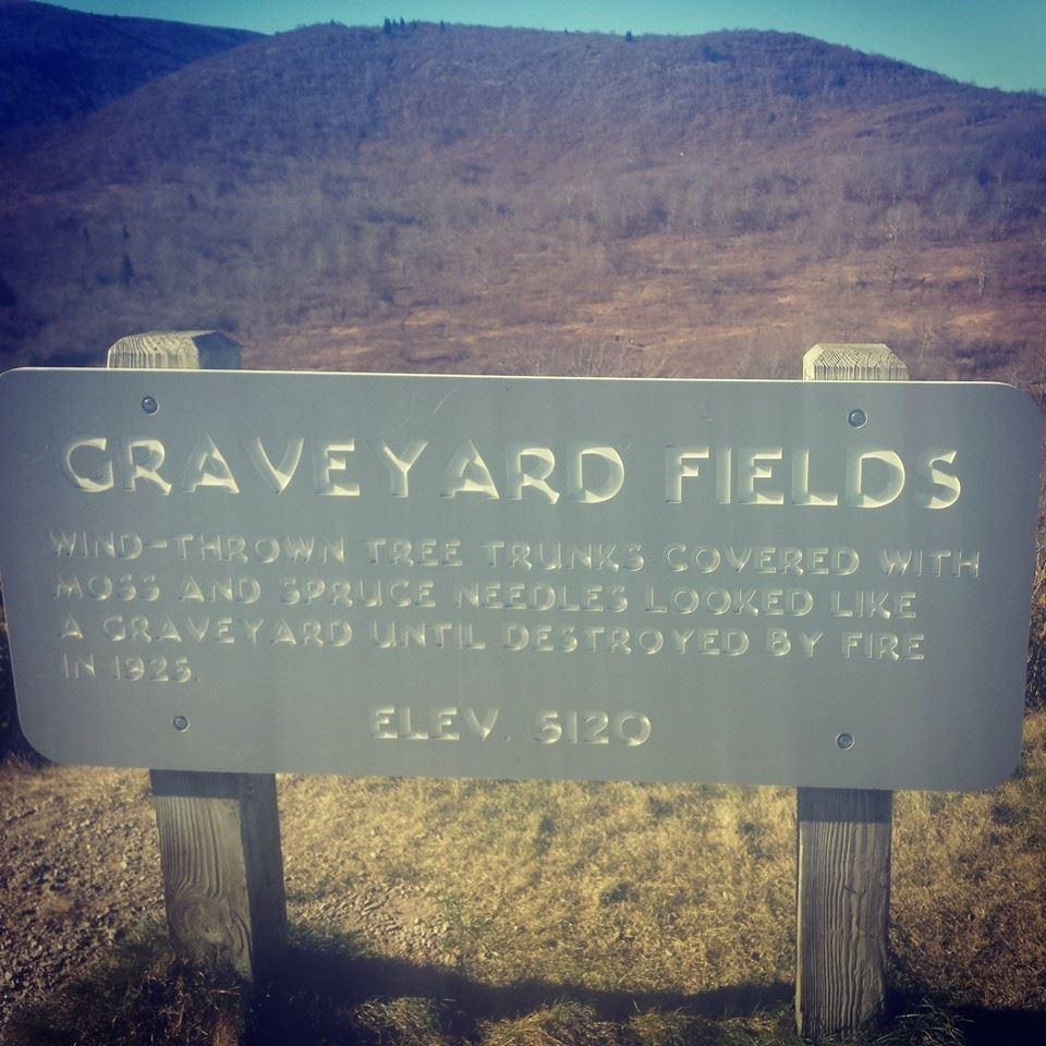 Hike to Graveyard Fields, NC.