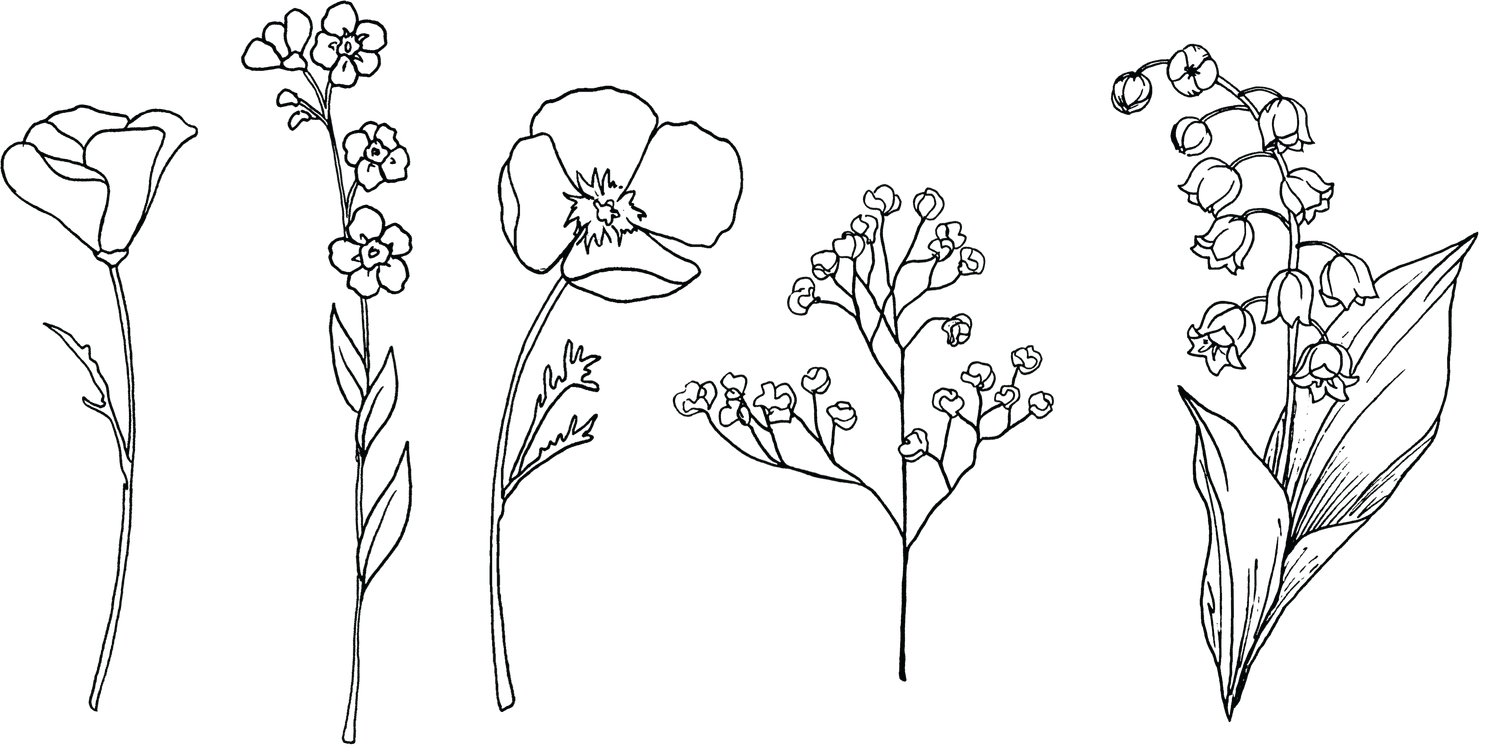 The Wedding Website of Molly Greenberg and Max Malamed