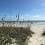 Isle of Palms Beaches
