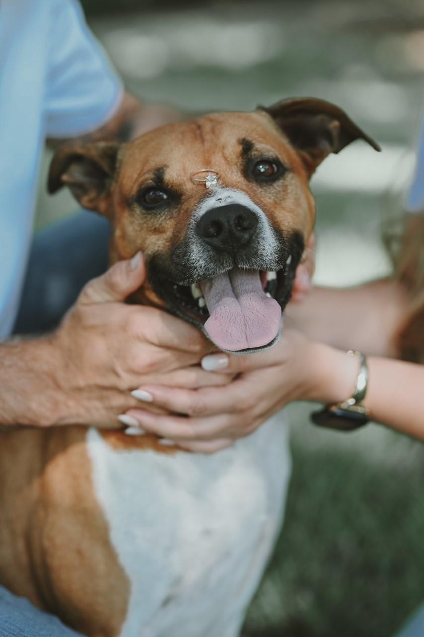 The Wedding Website of Brooke Shelton and Lucas Webb