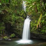 El Yunque National Forest