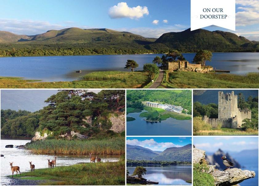 The Wedding Website of Jordanne Murphy and Shane O'Sullivan