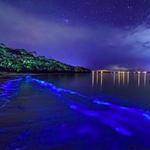 Mosquito Bay Beach