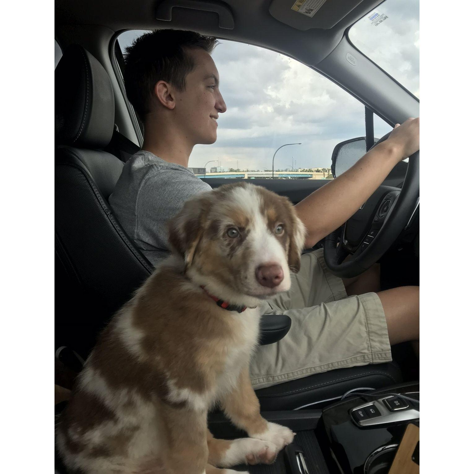 The day we got our pup Hazel.