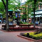 Pedestrian Mall