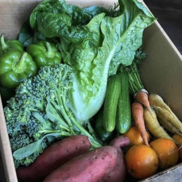 Community Sustained Agriculture Box