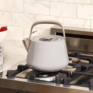 Stovetop Whistling Tea Kettle