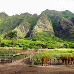 Kualoa Ranch