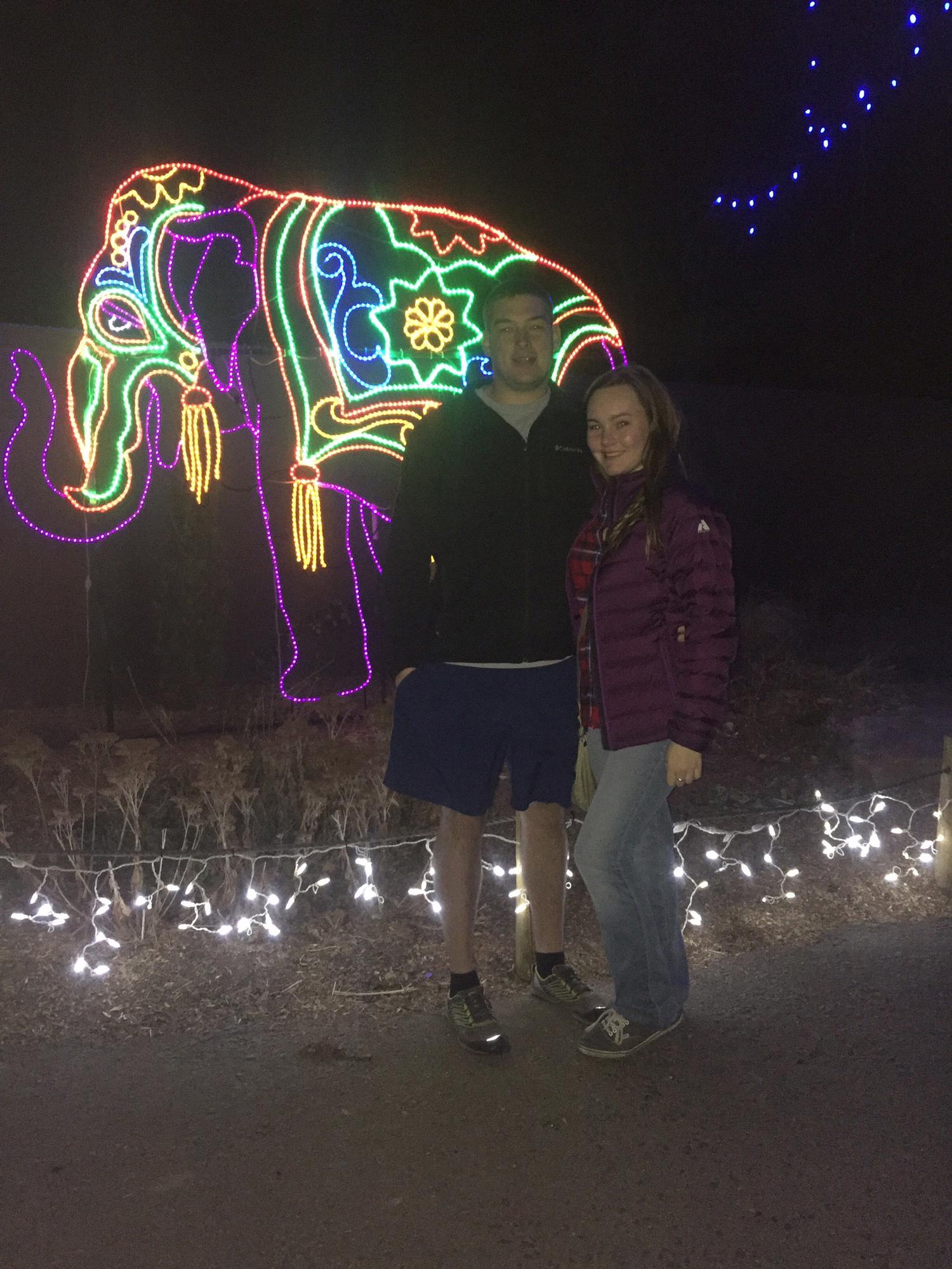 Zoo Lights. Winter 2017